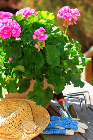 Cottage Style